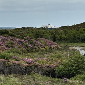 Hebridenlandschaft bei Stornoway