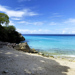 Naturimpression auf Curaçao