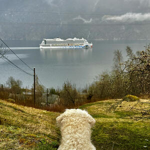 Fjordkulisse rund um Eidfjord
