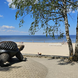 Naturmotiv aus Riga und Lettland
