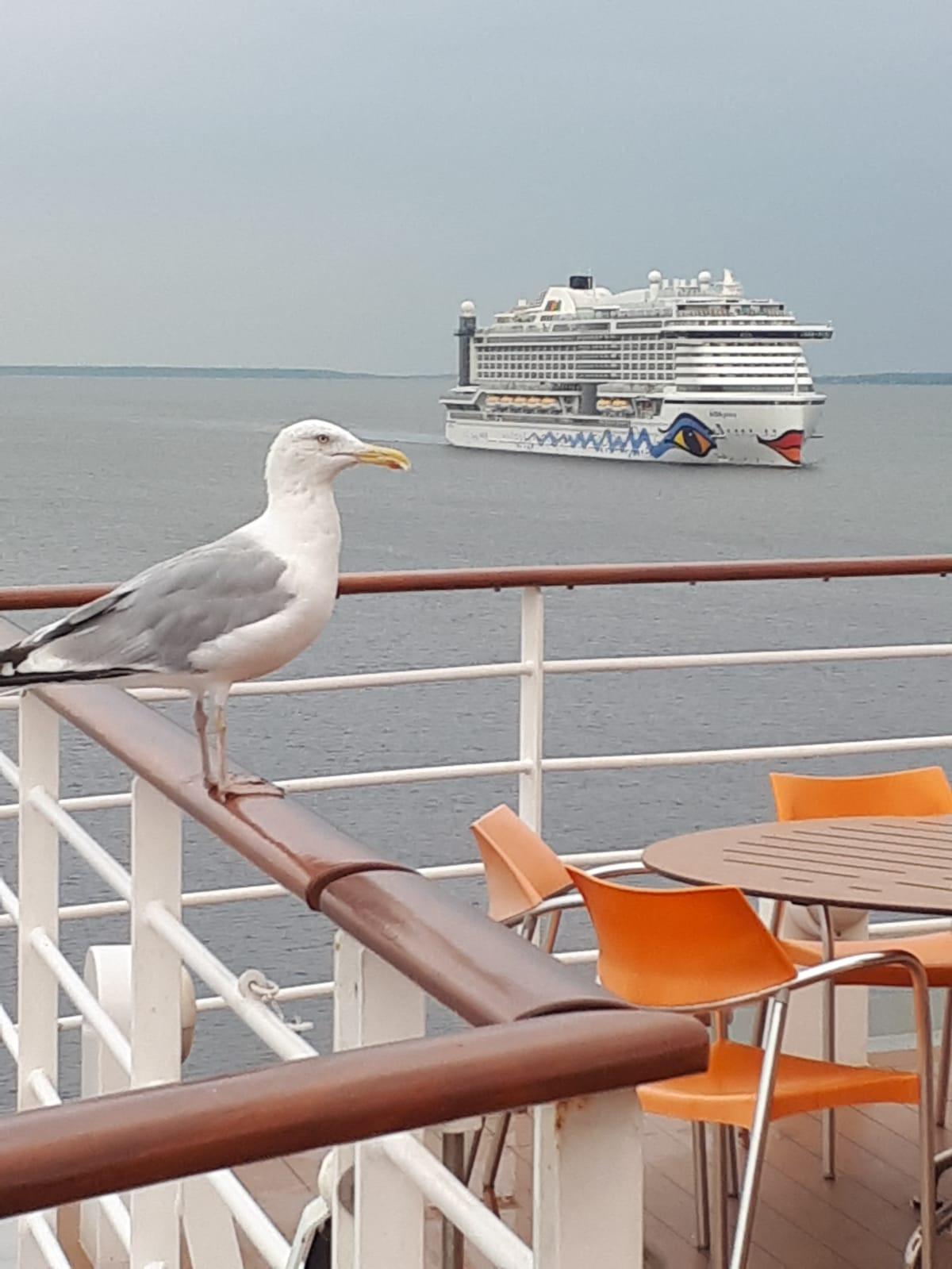 Naturkulisse bei Tallinn